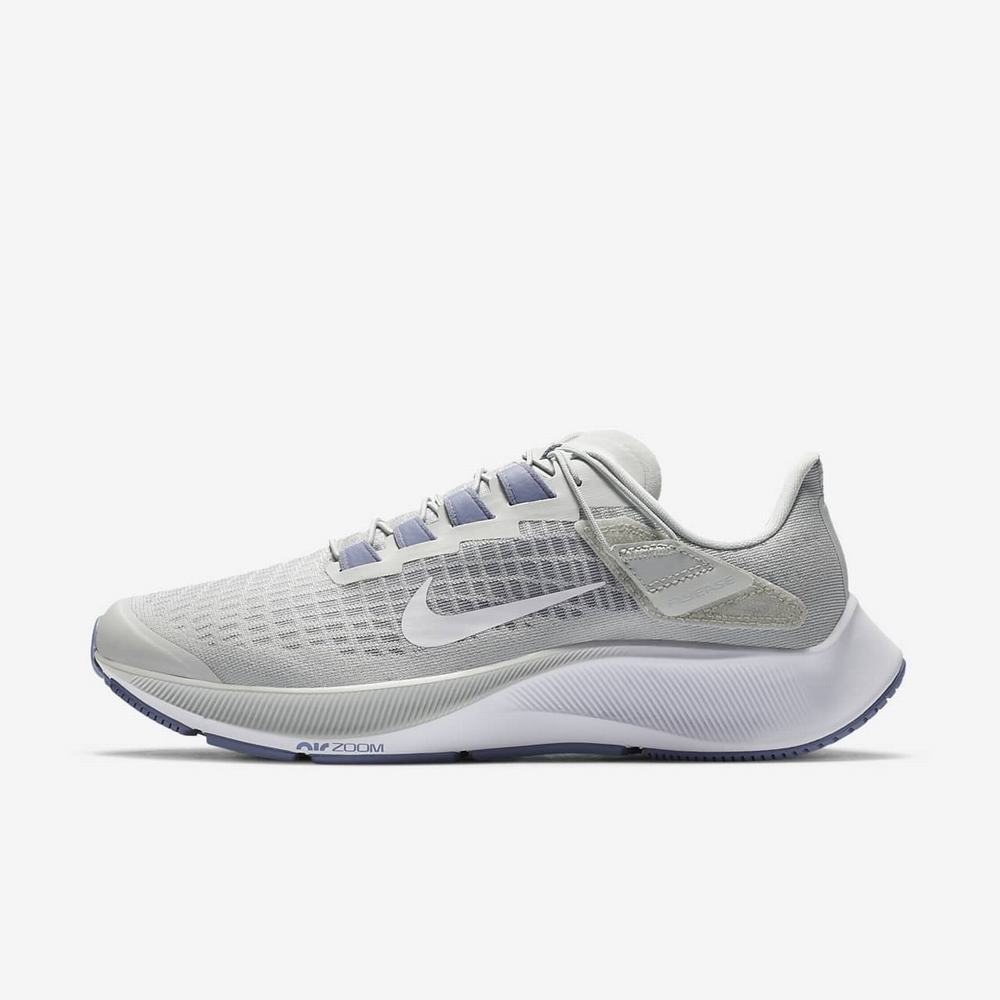 Chaussure De Running Nike Air Zoom Pegasus 37 FlyEase Argent 0467-328 Light Silver/World Indigo/White Femme | LPI-22731816